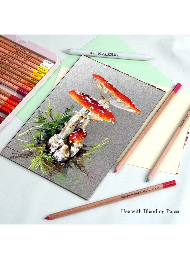 كالور مجموعة أقلام تلوين بالطباشير من برو باستيل مكونة من 50 لونًا من أقلام الفحم الملونة لرسم ورسم وتلوين لوازم التظليل للفنانين البالغين - Image 4