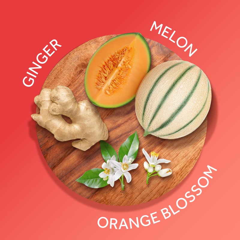 Calgon رذاذ الجسم المعطر من كالغون، زنجبيل هاواي، 8 أونصة سائلة - Image 1