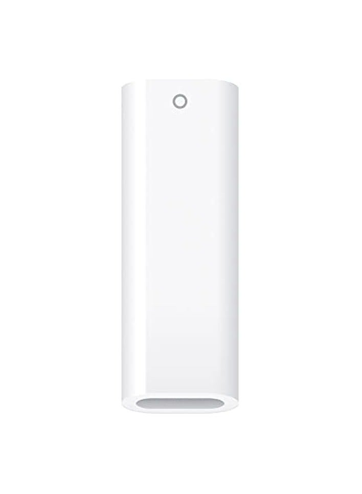 PROMASS USB-C to Pencil Adapter  - Image 1