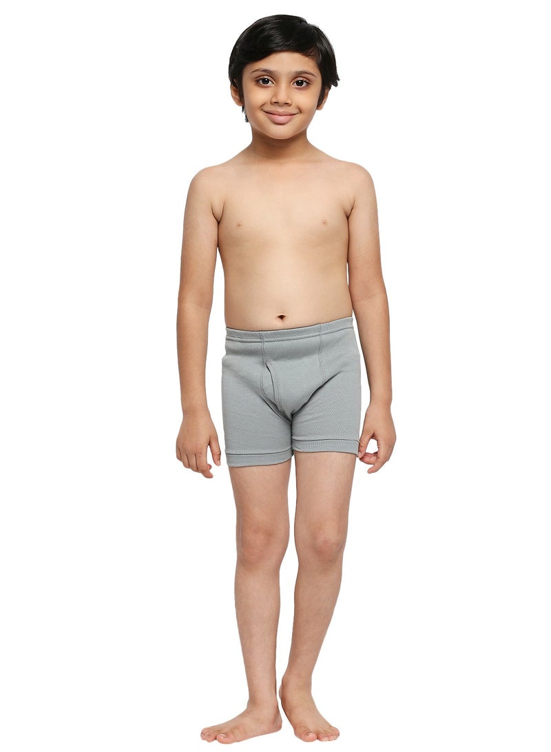 BYC BOY'S COTTON BOXER SHORT BRIEF (PACK OF 3) - DARK GREY  - Image 2