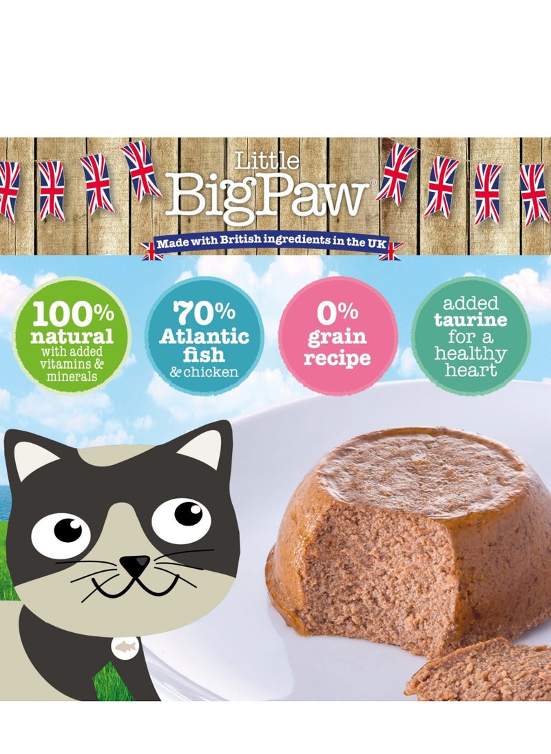Little Big Paw - Little Big Paw Gourmet Salmon Mousse Cat And Kitten Wet Food 8X85G - Image 1