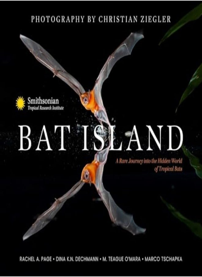 BAT ISLAND 