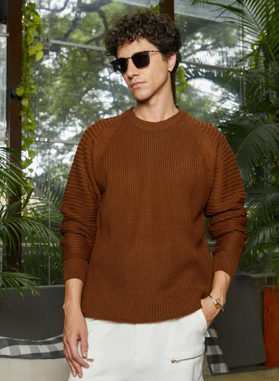 Campus Sutra Men's Chocolate Brown Self-Raglan Knit Pullover Sweater
