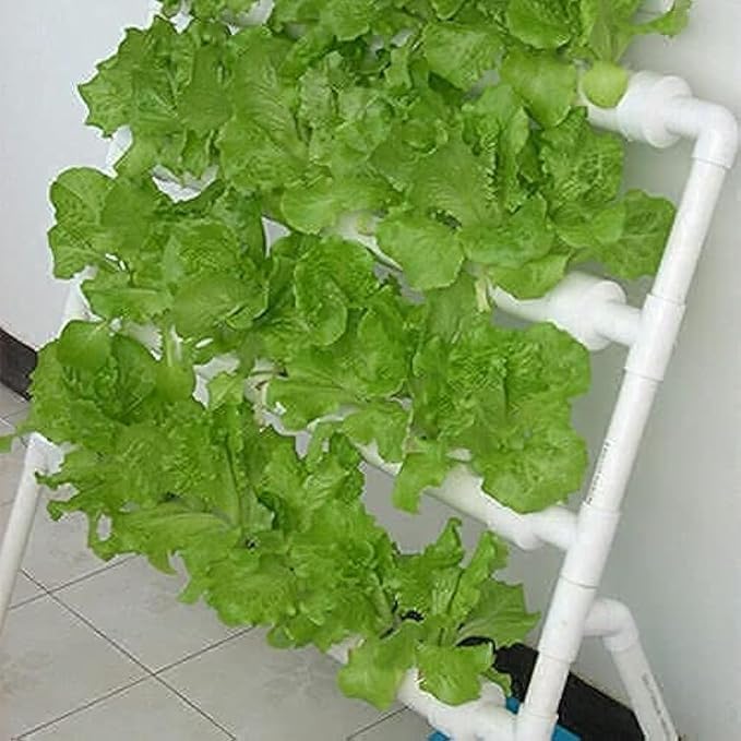 Meridian Hydroponics Growing System – 4 PVC Pipes, 36 Sites, Single‑Side Kit with Water Pipe - CT - Image 1