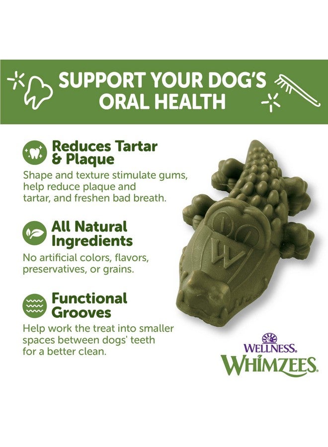 ويمزيس من شركة Wellness Alligator، علكات أسنان طبيعية للكلاب، مكافآت تدوم طويلاً، خالية من الحبوب، منعشة للفم، سلالات صغيرة، 24 قطعة - Image 5