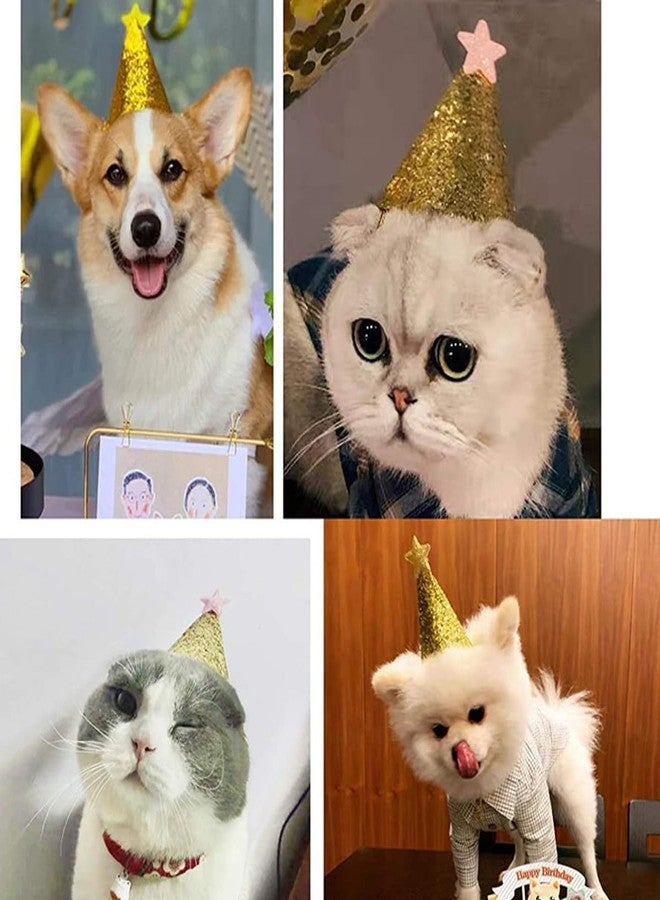Fevoila Golden Star Birthday Hats, 12 Pcs Golden Happy Birthday Party Hats with Shiny Star Party Supplies for Pets Kids Adults - Image 5