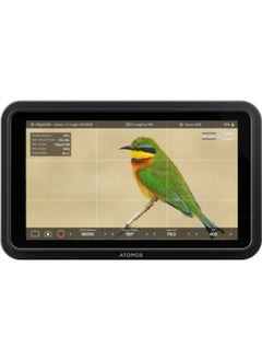 Atomos Atomos Shinobi II 5.2" HDMI HDR Monitor  - Image 5