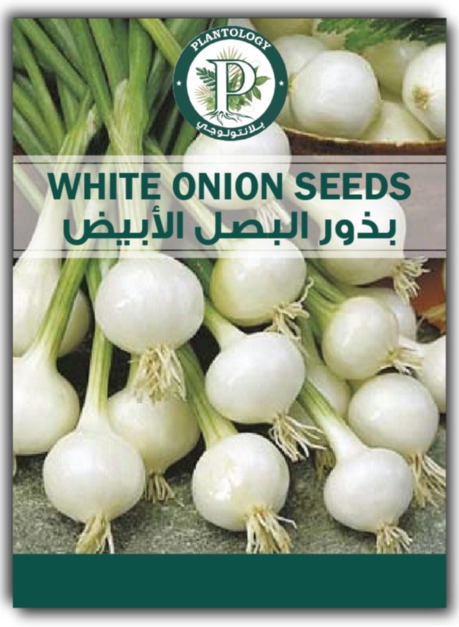 ماركة غير محددة بذور البصل الأبيض للزراعة - بذور البصل الأبيض Cipolla Tonda Musona 