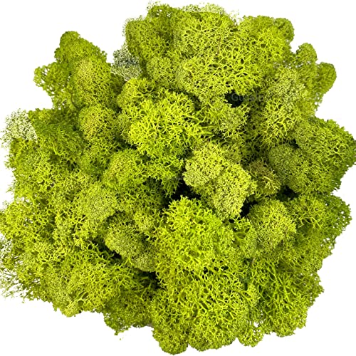 Gusaloo Moss Preserved Artificial Moss for Potted Plants Natural Fresh Green Moss for Craft Arts Project Wall Decor Table Fake Moss Wedding Centerpieces Garden Terrariums Decoration Chartreuse 3.5OZ - Image 1