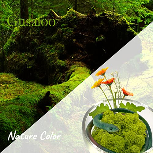 Gusaloo Moss Preserved Artificial Moss for Potted Plants Natural Fresh Green Moss for Craft Arts Project Wall Decor Table Fake Moss Wedding Centerpieces Garden Terrariums Decoration Chartreuse 3.5OZ - Image 2