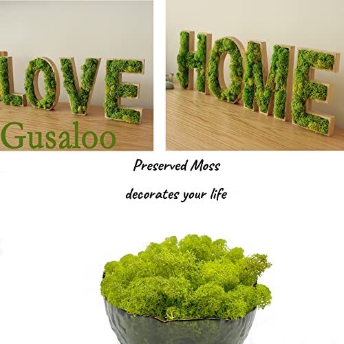 Gusaloo Moss Preserved Artificial Moss for Potted Plants Natural Fresh Green Moss for Craft Arts Project Wall Decor Table Fake Moss Wedding Centerpieces Garden Terrariums Decoration Chartreuse 3.5OZ - Image 3