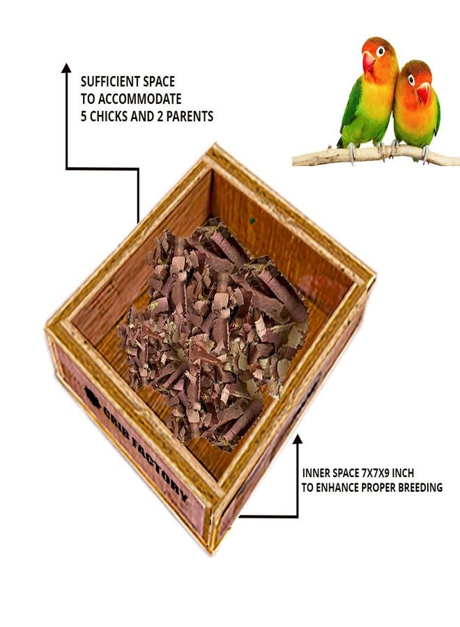 CRIB FACTORY African Love Birds Breeding Box 8 X 8 X 9 Inch Premium Selected Plywood (with Tray) - Image 4