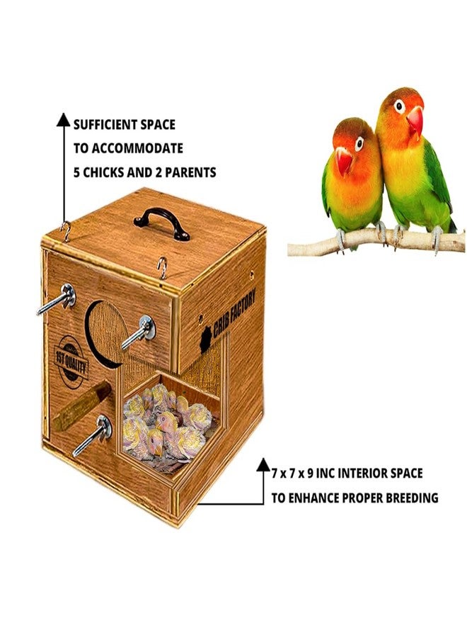 CRIB FACTORY African Love Birds Breeding Box 8 X 8 X 9 Inch Premium Selected Plywood (with Tray) - Image 3