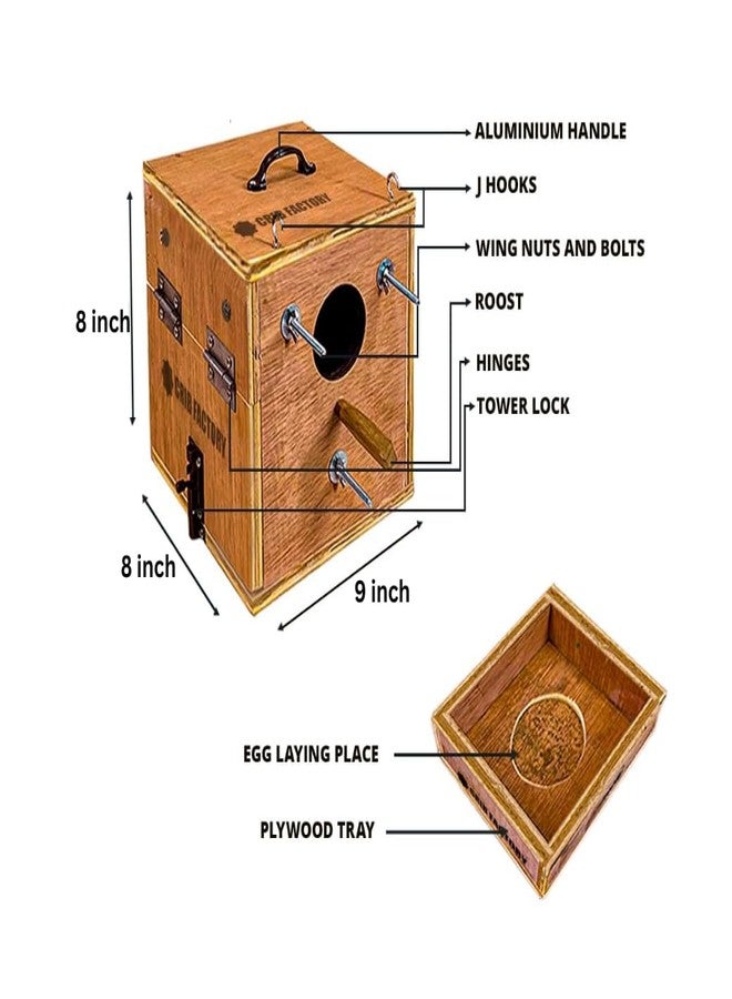 CRIB FACTORY African Love Birds Breeding Box 8 X 8 X 9 Inch Premium Selected Plywood (with Tray) - Image 2