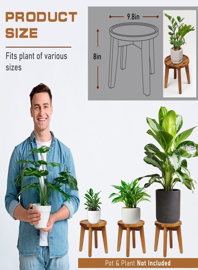 Demigo Indoor Plant Stand, Acacia Wooden Decorative Plant Shelf with Spill-Proof Tray, Stable 8” Tall Flower Holder for Heavy Pots, Gardening Display for Decor Living Room Patio - Natural Brown - Image 2