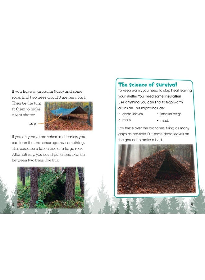 السنة 2 الكتاب 4 NF 2: السنة 2 - Image 3