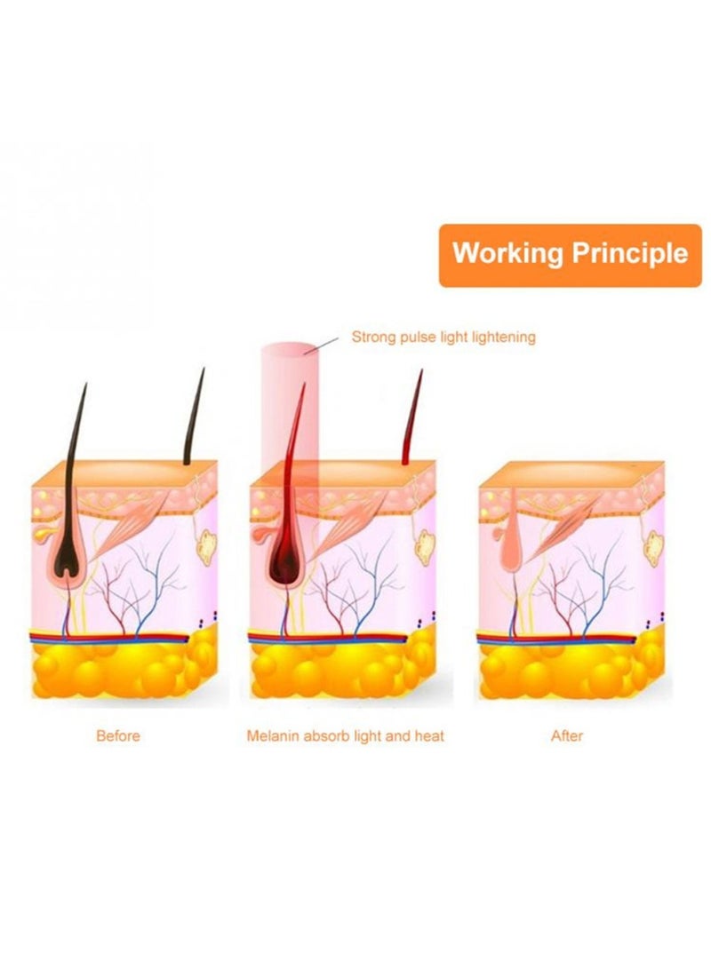 إيفرين جهاز إزالة الشعر بالليزر IPL لإزالة الشعر، 500000 ومضة، آلة إزالة الشعر للنساء، الحلاقة المنزلية، الاستخدام المنزلي، ماكينة حلاقة للجسم غير مؤلمة (أسود) - Image 3