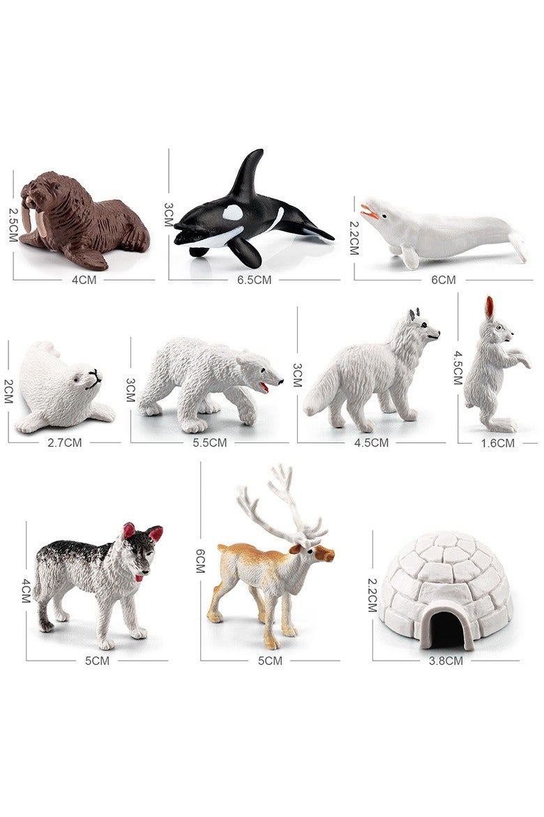 هالامودو مجموعة حيوانات القطب الشمالي 10 قطعة ، أرقام الحيوانات البرية الواقعية ، الزينات البرية ، الألعاب المعرفية في حديقة حيوانات الغابة ، هدايا عيد ميلاد الأطفال - Image 1