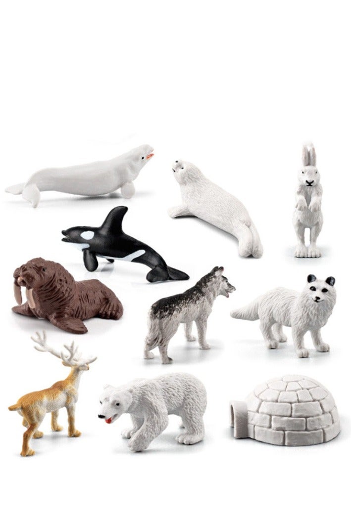 هالامودو مجموعة حيوانات القطب الشمالي 10 قطعة ، أرقام الحيوانات البرية الواقعية ، الزينات البرية ، الألعاب المعرفية في حديقة حيوانات الغابة ، هدايا عيد ميلاد الأطفال - Image 2