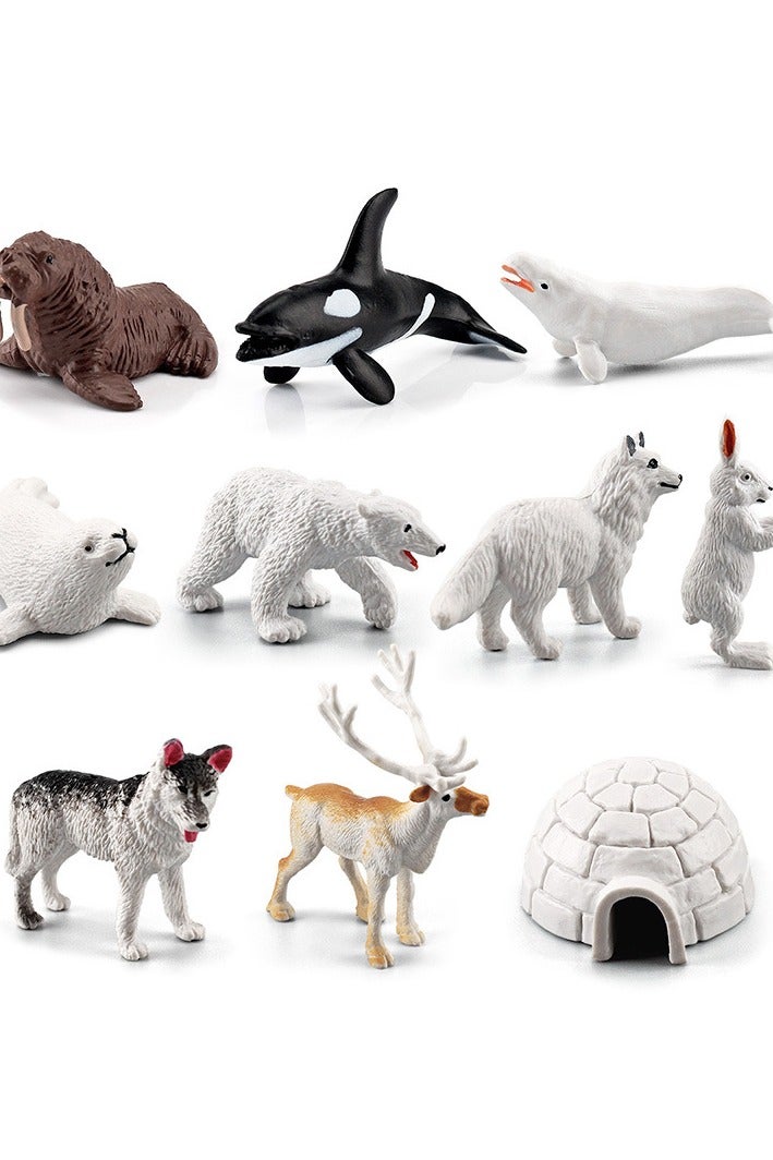 هالامودو مجموعة حيوانات القطب الشمالي 10 قطعة ، أرقام الحيوانات البرية الواقعية ، الزينات البرية ، الألعاب المعرفية في حديقة حيوانات الغابة ، هدايا عيد ميلاد الأطفال - Image 3
