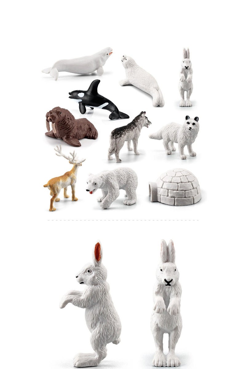 هالامودو مجموعة حيوانات القطب الشمالي 10 قطعة ، أرقام الحيوانات البرية الواقعية ، الزينات البرية ، الألعاب المعرفية في حديقة حيوانات الغابة ، هدايا عيد ميلاد الأطفال - Image 4