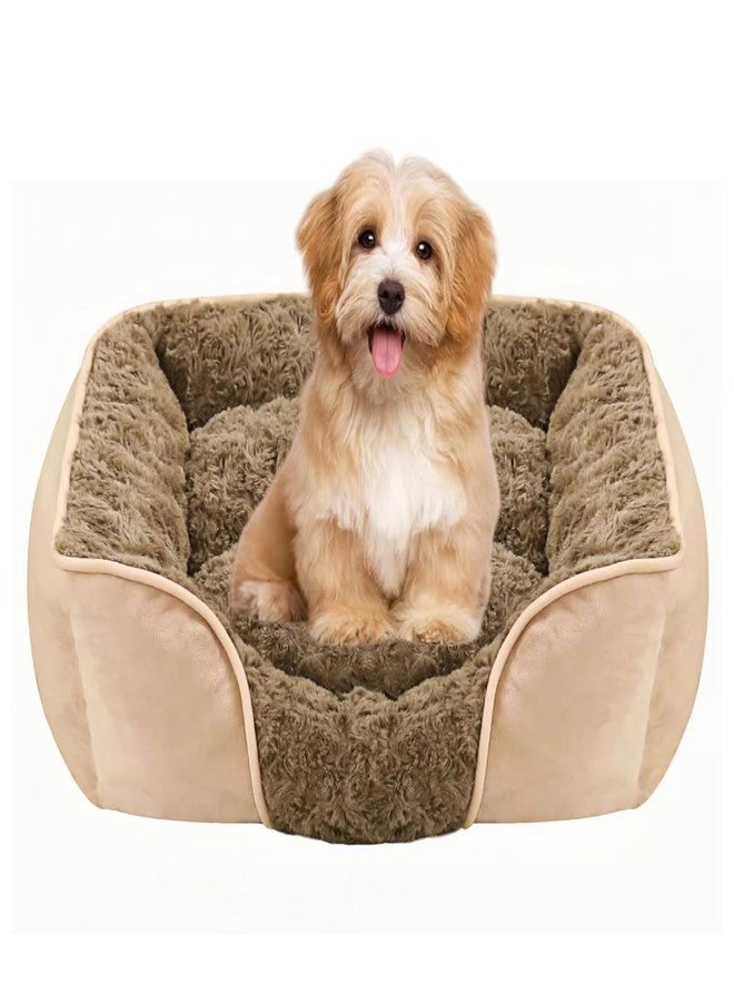 MeowMua Dog Bed for Small Medium Dogs, Cat Bed for Indoor Cats. Washable Orthopedic Dog Bed. Removable Sleeping Mat, Durable Pet Bed with Anti-Slip Bottom (Camel, Medium) - Image 1