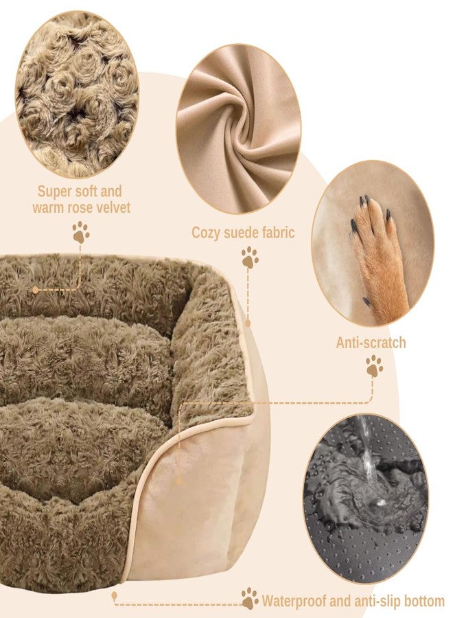 MeowMua Dog Bed for Small Medium Dogs, Cat Bed for Indoor Cats. Washable Orthopedic Dog Bed. Removable Sleeping Mat, Durable Pet Bed with Anti-Slip Bottom (Camel, Medium) - Image 4