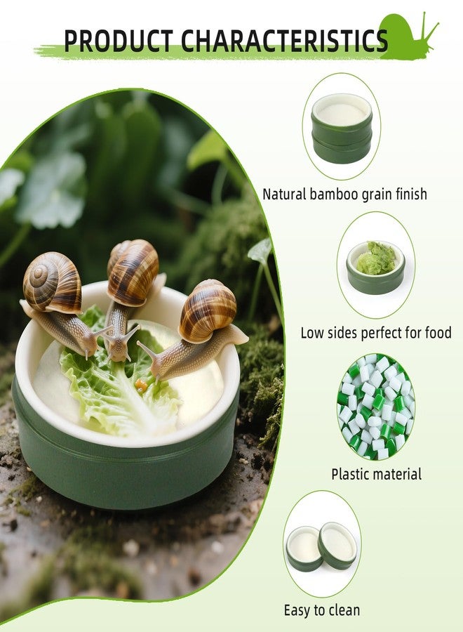 2 Set Snail Feeding Dish Set for Land Snails, Snail Feeder and Water Dish Kit-Calcium Food Bowl & Water Tray, Land Snail Tiny Pet Dishes Mini Pet Snail Supplies Accessories (Bamboo Green) - Image 3