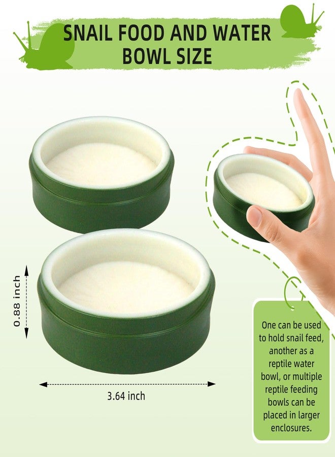 2 Set Snail Feeding Dish Set for Land Snails, Snail Feeder and Water Dish Kit-Calcium Food Bowl & Water Tray, Land Snail Tiny Pet Dishes Mini Pet Snail Supplies Accessories (Bamboo Green) - Image 2