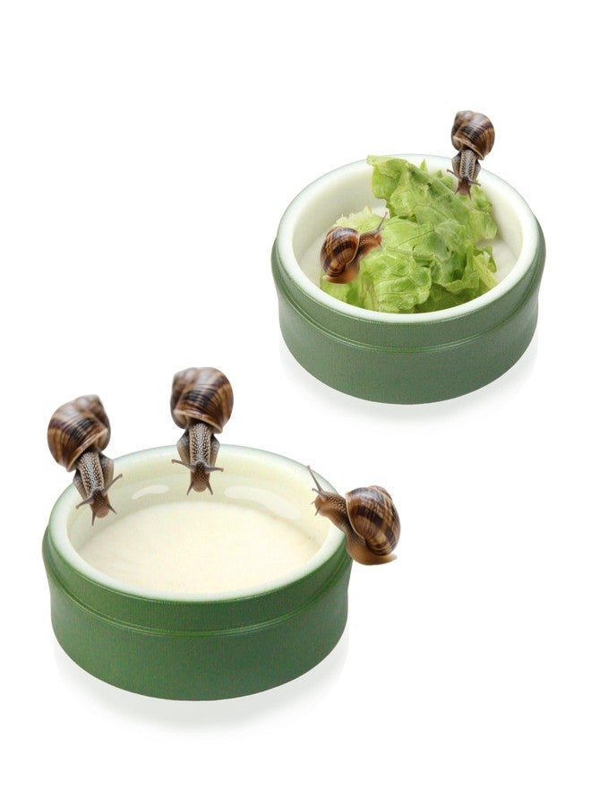 2 Set Snail Feeding Dish Set for Land Snails, Snail Feeder and Water Dish Kit-Calcium Food Bowl & Water Tray, Land Snail Tiny Pet Dishes Mini Pet Snail Supplies Accessories (Bamboo Green) - Image 1