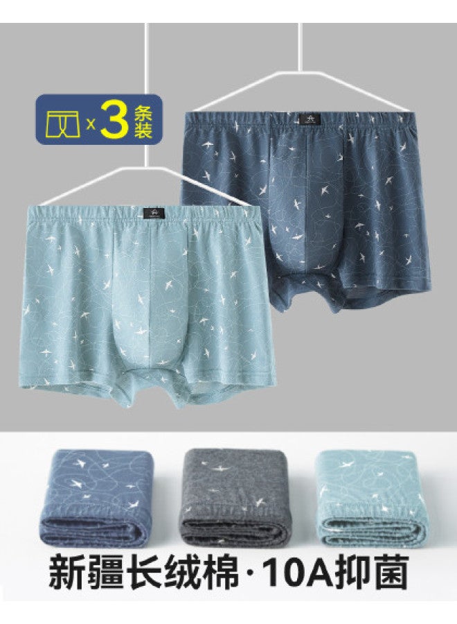 Fenton 100% Cotton  Middle-aged And Elderly Men's Wide Briefs, Pure Cotton For Spring/summer 2025 - Image 1