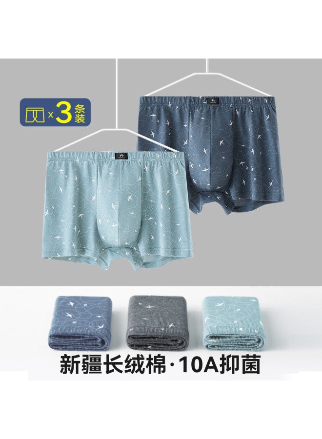 Fenton 100% Cotton  Middle-aged And Elderly Men's Wide Briefs, Pure Cotton For Spring/summer 2025 - Image 2