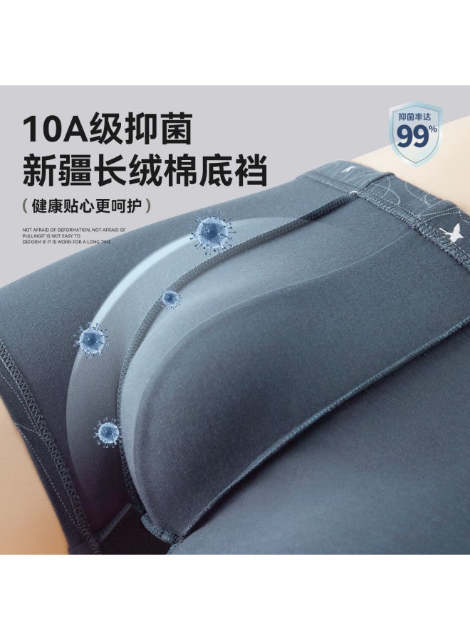 Fenton 100% Cotton  Middle-aged And Elderly Men's Wide Briefs, Pure Cotton For Spring/summer 2025 - Image 5