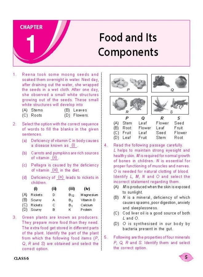 National Science Olympiad (NSO) Work Book for Class 6 - Quick Recap, MCQs, Previous Years Solved Paper and Achievers Section - Olympiad Books For 2022-2023 Exam  - Image 5
