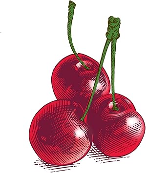 Burt's Bees Burts Bees Wild Cherry Lip Balm - Image 4