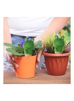 NIBEMINENT 4PCS Terracotta Watering Spikes, Automatic Plant Waterer Devices Frog Themed Globes Spike System Decorative for Indoor/Outdoor Plants Potted  - Image 4