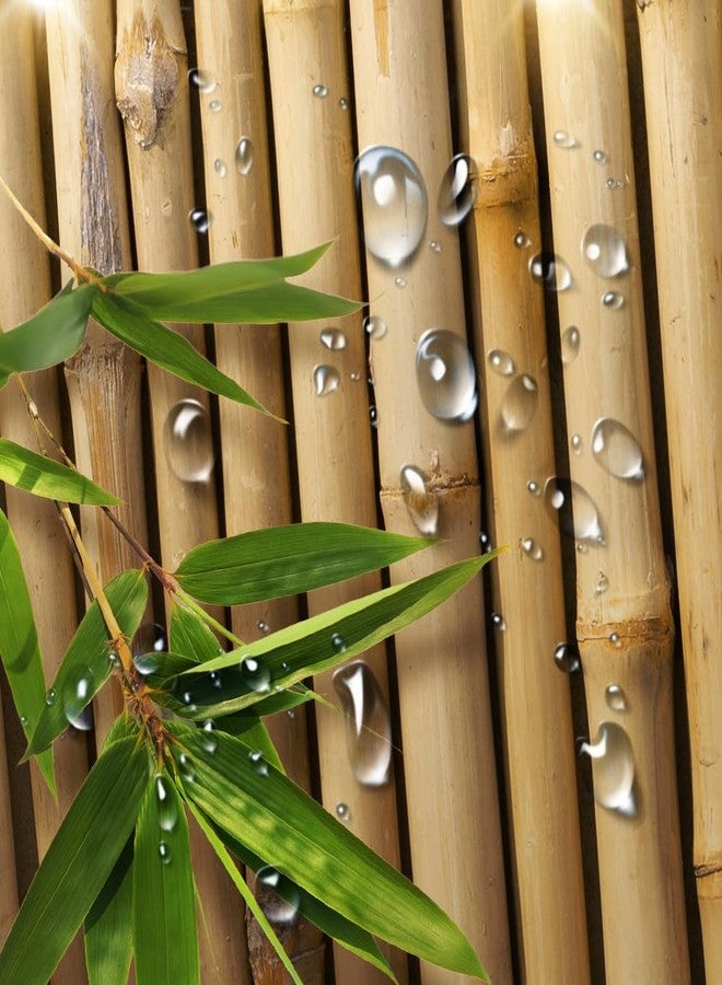 Pinpai ستارة دش من بامبو PINPAI، مجموعة ستائر دش ثلاثية الأبعاد يابانية للحمام، تصميم طبيعي زين مع أضواء، ستارة دش قماشية لتزيين الحمام وحوض الاستحمام مع خطافات 72X 72 بوصة - Image 5