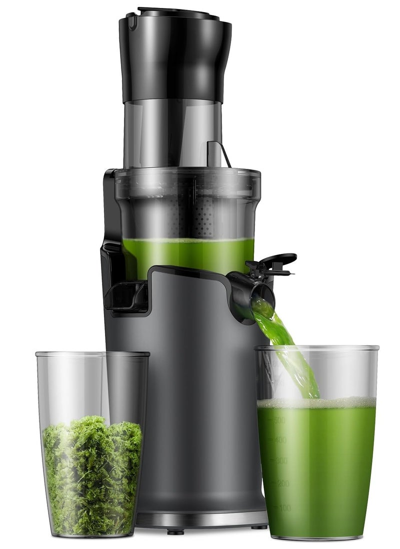 Cold Press Juicer Machines, Masticating Juicer Extractor with 3.5-Inch Feed Chute, Slow Juicer With High Yield, Easy to Clean,Grey - pzsku/Z75AF529D214615FDF64CZ/45/_/1728459843/f0c1f371-d8b5-4885-bb8b-cccbb969bbea