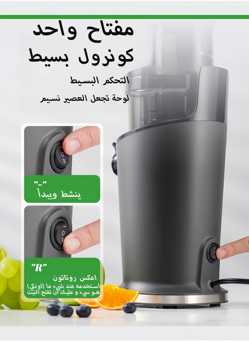 Cold Press Juicer Machines, Masticating Juicer Extractor with 3.5-Inch Feed Chute, Slow Juicer With High Yield, Easy to Clean,Grey - pzsku/Z75AF529D214615FDF64CZ/45/_/1734066498/73959134-320c-4da2-8133-6d5022160749