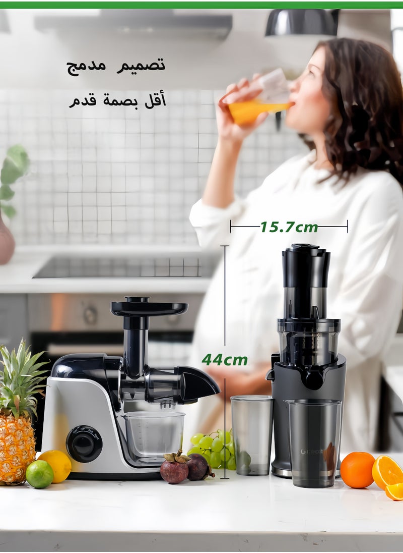 DIYANOO - Cold Press Juicer Machines, Masticating Juicer Extractor with 3.5-Inch Feed Chute, Slow Juicer With High Yield, Easy to Clean,Grey - Image 1