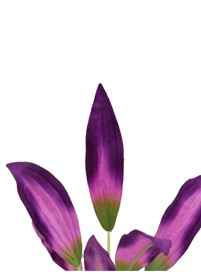 DVHEY Silk Aquarium Plants for Betta Fish Tank, 2 Pcs 8 Inch Small Silk Aquarium Plant Aquatic Water Grass Decoration, Purple - Image 4