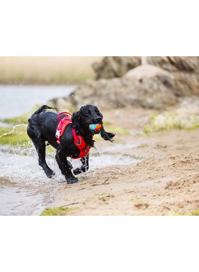 Chuckit! Amphibious Fetch Balls, Set Of 3, Medium - Image 5