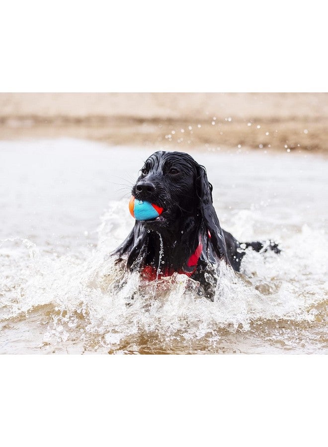 Chuckit! Amphibious Fetch Balls, Set Of 3, Medium - Image 4