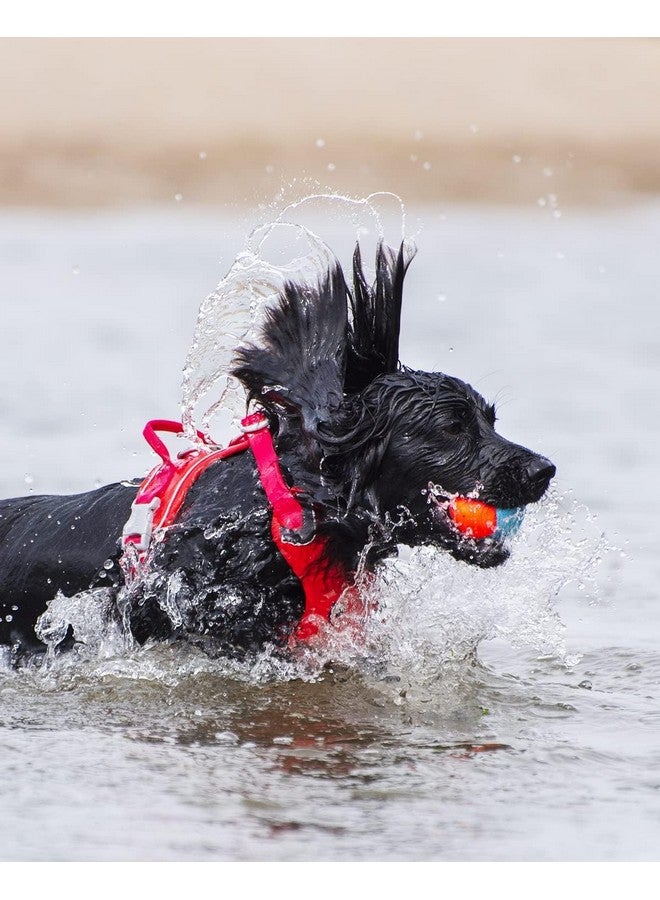 Chuckit! Amphibious Fetch Balls, Set Of 3, Medium - Image 3