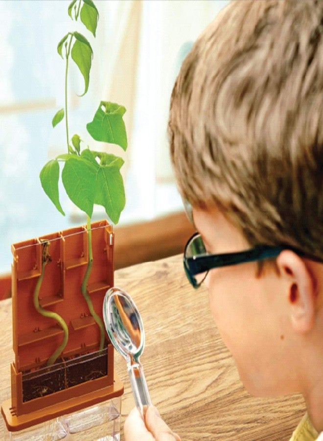 4M Green Science Grow A Maze Kit, Build A Plant Maze Science Kit, For Boys & Girls Ages 5+ , 5 x 4 nches - Image 4