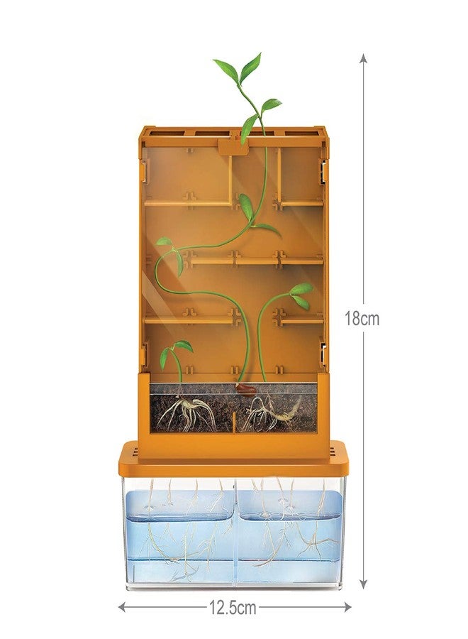 4M Green Science Grow A Maze Kit, Build A Plant Maze Science Kit, For Boys & Girls Ages 5+ , 5 x 4 nches - Image 2