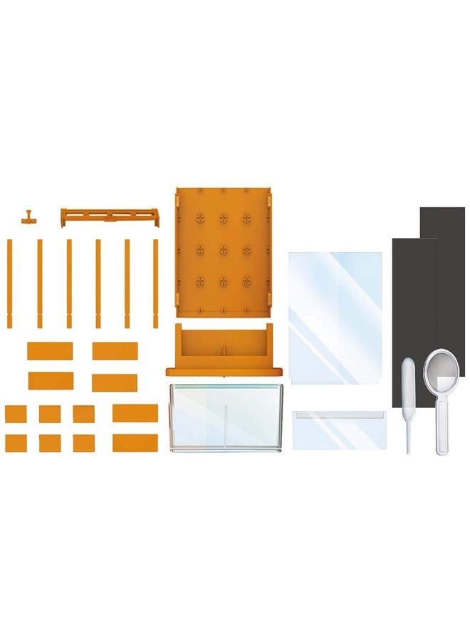 4M Green Science Grow A Maze Kit, Build A Plant Maze Science Kit, For Boys & Girls Ages 5+ , 5 x 4 nches - Image 3