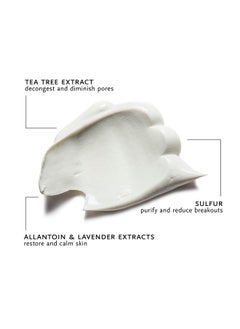 Arcona Tea Tree Mask Tea Tree Extract Grapefruit Extract Sulphur + Lavender Extract Clears Breakouts + Calms Skin. Made In The Usa  - Image 2