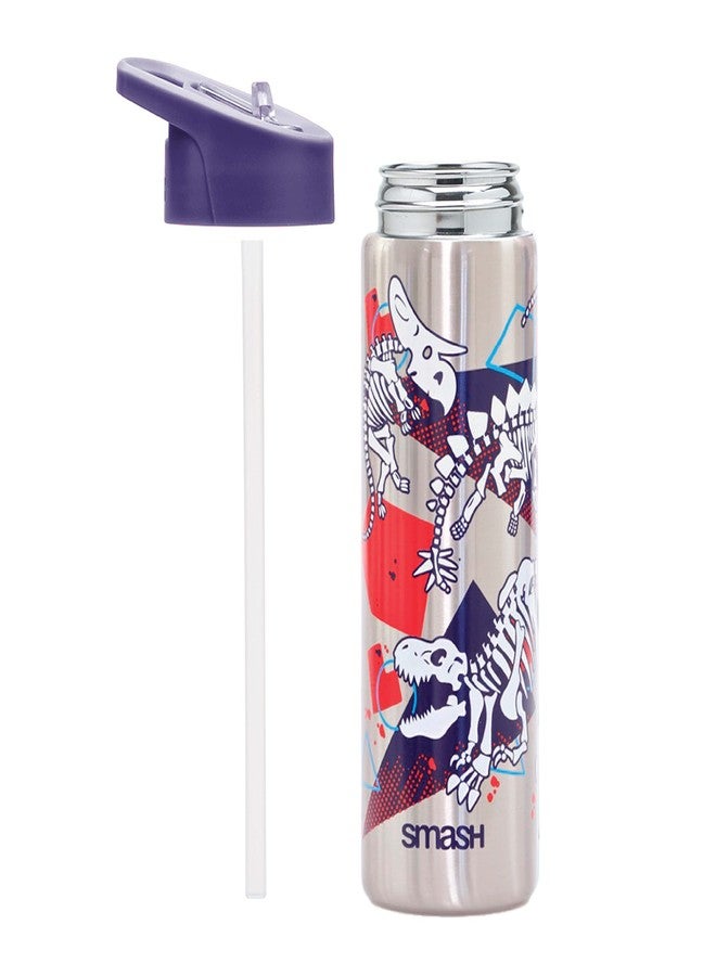 Smash Stainless Steel Color Change Water Bottle 25.3 fl oz - Dinosaur - Image 3