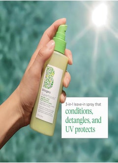 Briogeo Briogeo Superfoods Avocado and Kiwi Leave in Conditioner, 6 fl oz - Moisturizer, Detangler, UV Protectant for Dry Damaged Hair 170ml  - Image 4